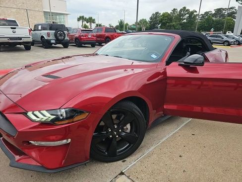 Used 2021 Ford Mustang Premium w/ Equipment Group 201A RWD image 3