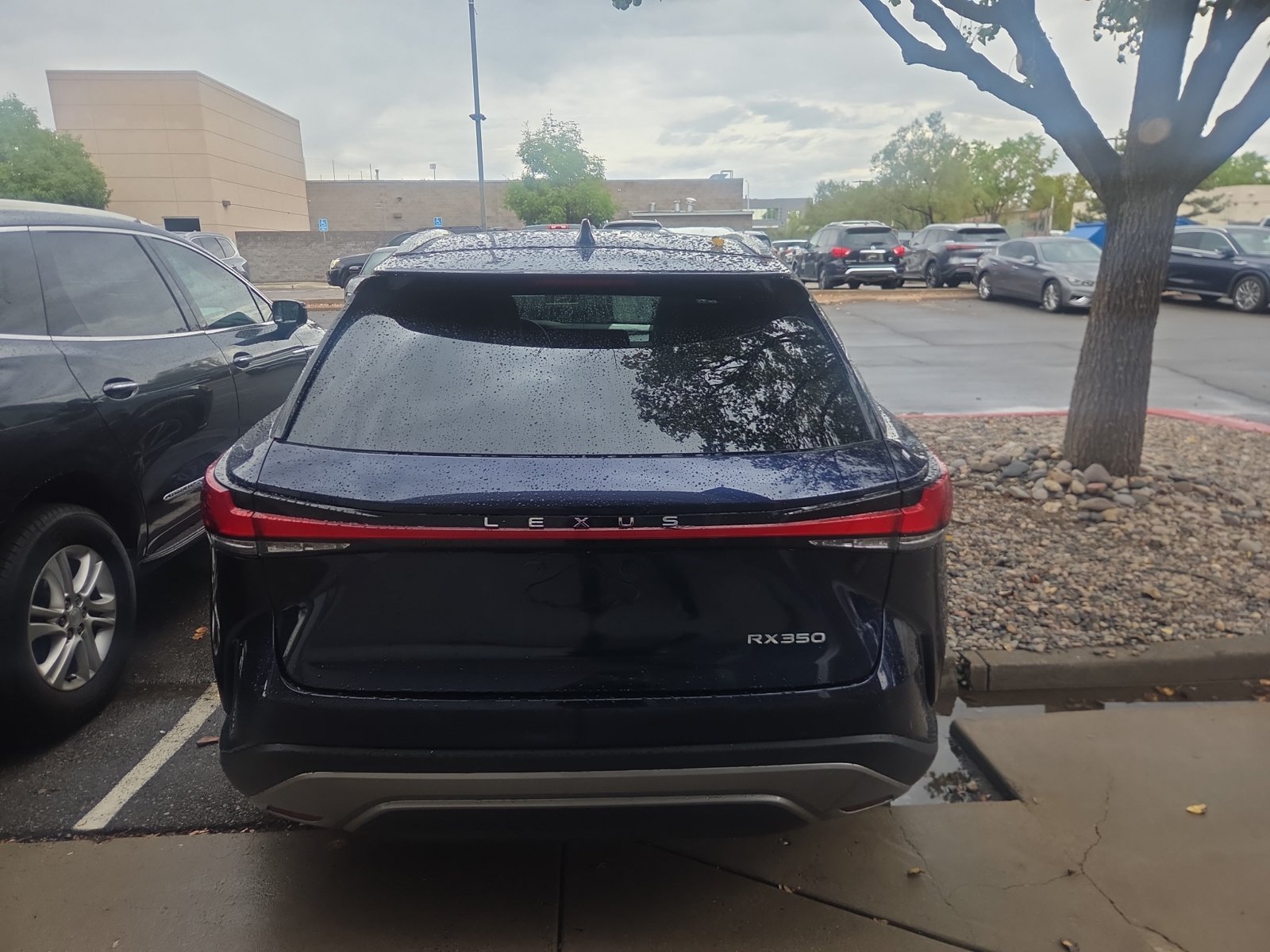 Used 2024 Lexus RX 350 Premium w/ Cold Area Package FWD image 4