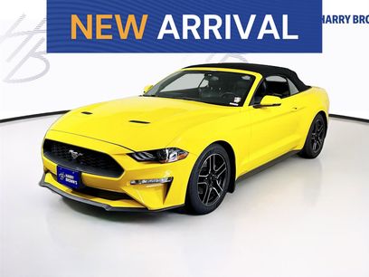 Used 2018 Ford Mustang Premium w/ Equipment Group 201A