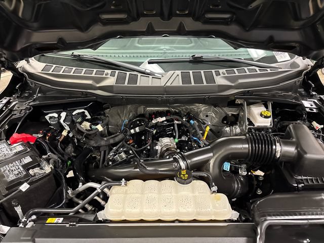Used 2025 Ford F150 XLT w/ Equipment Group 301A Standard AWD/4WD image 19