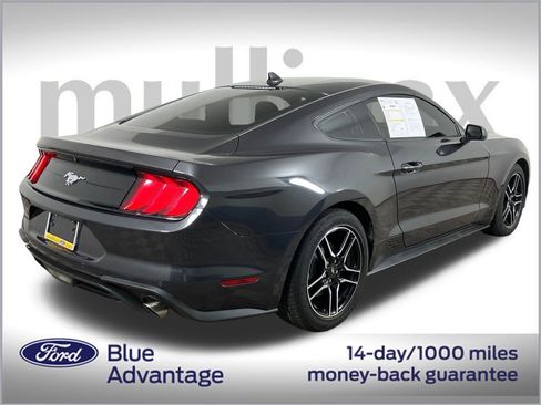 Certified 2023 Ford Mustang Coupe w/ Equipment Group 101A image 4