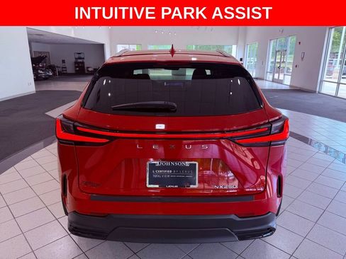 Used 2025 Lexus NX 250 FWD w/ Accessory Package (K3) image 7
