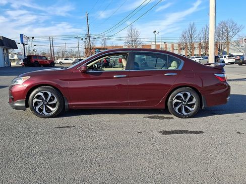 Used 2016 Honda Accord EX-L image 8