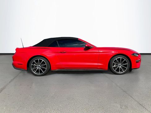 Used 2019 Ford Mustang Premium w/ Equipment Group 201A RWD image 8