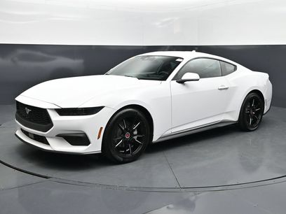 Used 2026 Ford Mustang Coupe