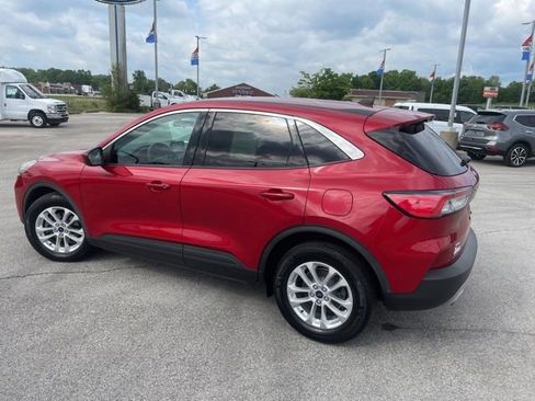 Used 2020 Ford Escape SE FWD image 6