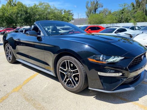 Used 2019 Ford Mustang Premium RWD image 19