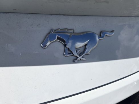 Used 2024 Ford Mustang Premium RWD image 8