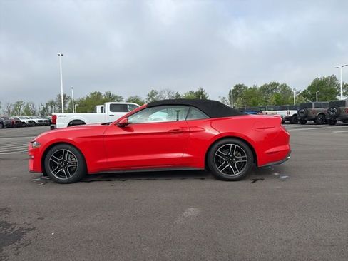 Used 2020 Ford Mustang Premium RWD image 17