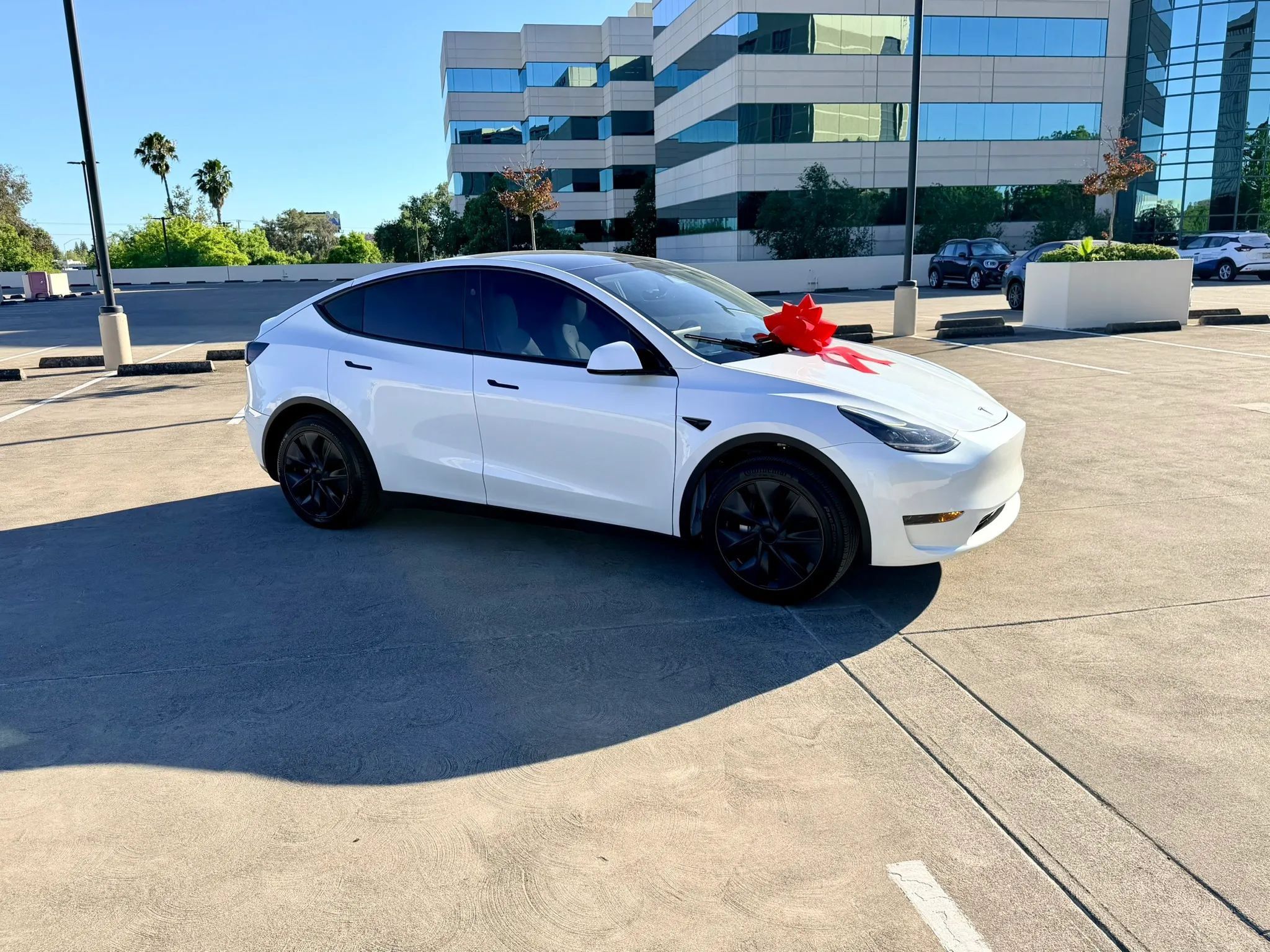 Used 2024 Tesla Model Y Long Range RWD image 14