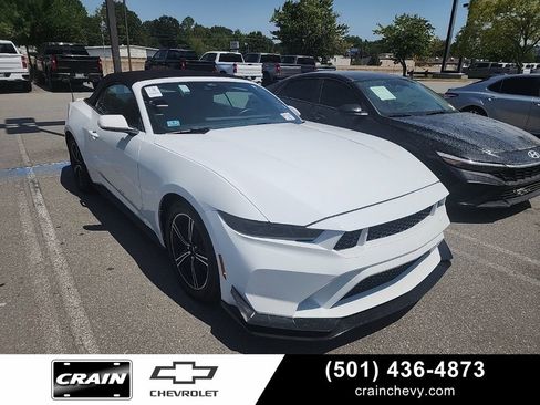 Used 2025 Ford Mustang Premium RWD image 1