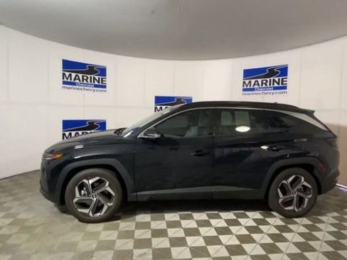 Used 2023 Hyundai Tucson Limited image 7