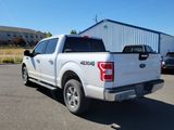 Used 2019 Ford F150 XLT w/ Equipment Group 302A Luxury image 3