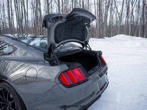 Used 2015 Ford Mustang Shelby GT350 RWD image 66