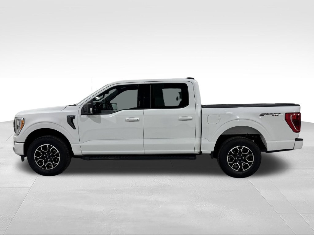 Used 2023 Ford F150 XLT w/ Equipment Group 302A High AWD/4WD image 13