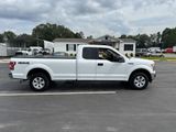 Used 2019 Ford F150 XLT image 5