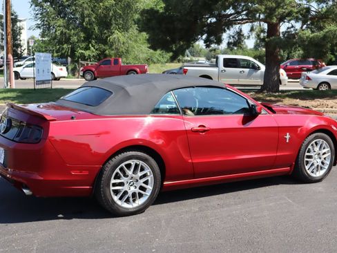 Used 2014 Ford Mustang Premium w/ Equipment Group 202A RWD image 4