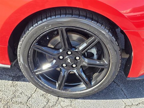 Used 2019 Ford Mustang GT w/ Equipment Group 301A image 7