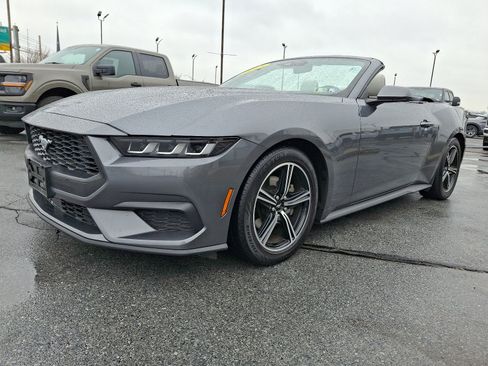 Used 2024 Ford Mustang Premium RWD image 3