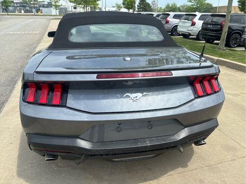 Used 2025 Ford Mustang Premium RWD image 6