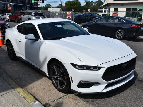Used 2024 Ford Mustang EcoBoost image 4
