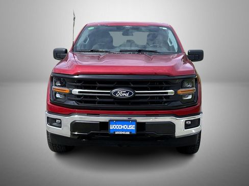 Used 2025 Ford F150 XLT w/ Equipment Group 301A Standard AWD/4WD image 2