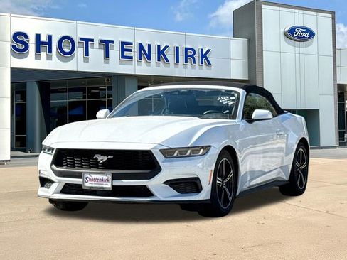 Used 2024 Ford Mustang Premium image 3