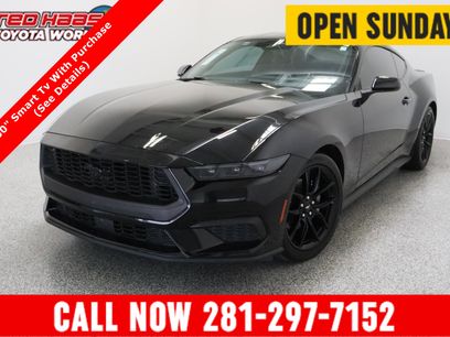 Used 2024 Ford Mustang Premium w/ Mustang Nite Pony Package