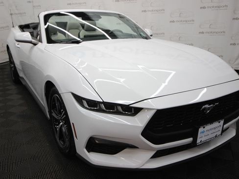 Used 2024 Ford Mustang Premium RWD image 19