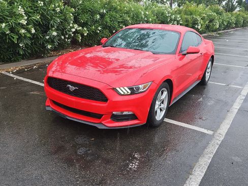Used 2017 Ford Mustang Coupe w/ Enhanced Security Package RWD image 1