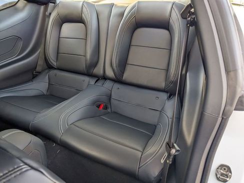 New 2026 Ford Mustang Premium w/ Mustang Nite Pony Package image 12