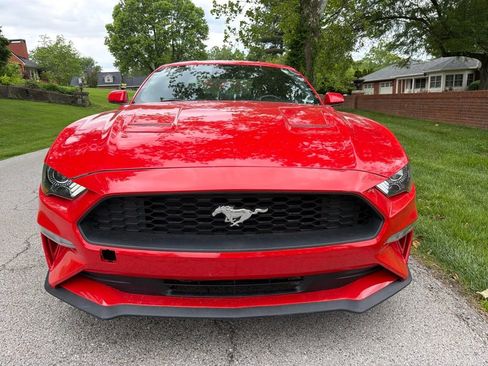 Used 2022 Ford Mustang Coupe RWD image 9