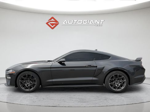 Used 2023 Ford Mustang GT Premium w/ Equipment Group 401A RWD image 4