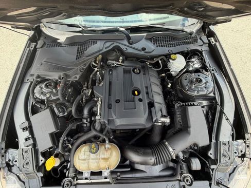 Used 2019 Ford Mustang Coupe image 24