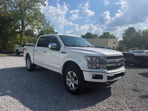 Used 2019 Ford F150 Platinum w/ Equipment Group 701A Luxury AWD/4WD image 11