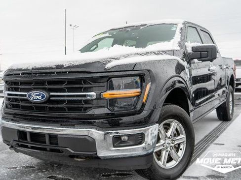 Used 2024 Ford F150 XLT image 1