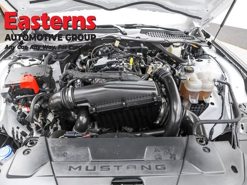 Used 2024 Ford Mustang Premium image 12