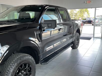 Used 2024 Ford F150 XLT w/ XLT Black Appearance Package