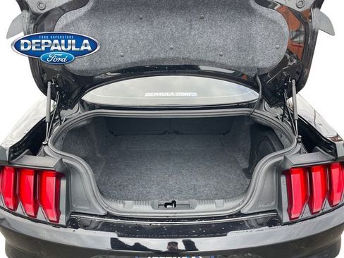 Used 2019 Ford Mustang GT Premium w/ Equipment Group 401A image 6