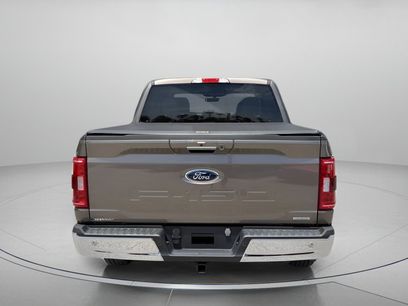 Certified 2023 Ford F150 XLT w/ Equipment Group 302A High