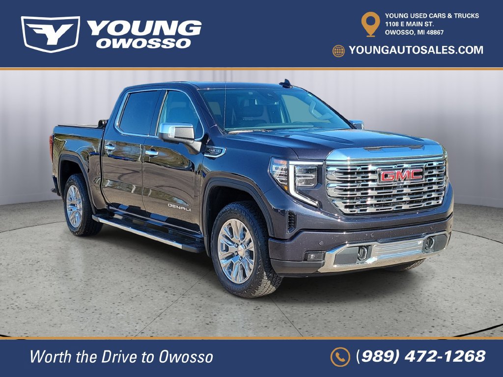 Used 2025 GMC Sierra 1500 Denali AWD/4WD image 2