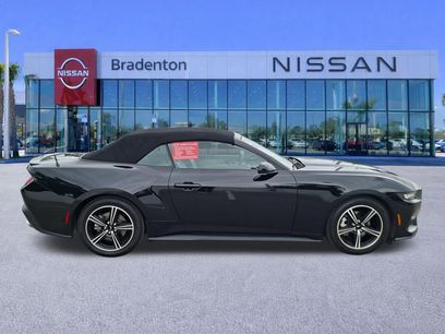 Used 2024 Ford Mustang Premium