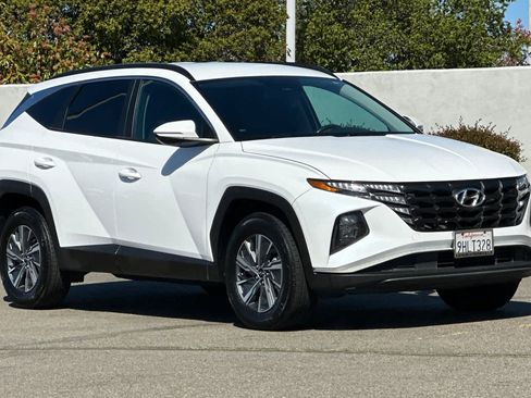 Used 2023 Hyundai Tucson Blue image 5