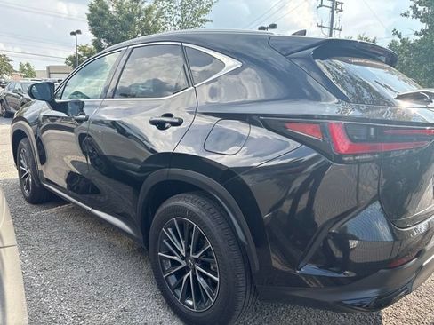 Used 2025 Lexus NX 250 FWD w/ Cold Area Package image 3