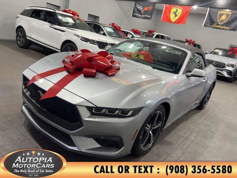 Used 2024 Ford Mustang Premium RWD image 2