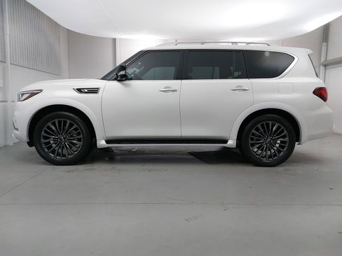 Used 2024 INFINITI QX80 Premium Select w/ Cargo Package image 2