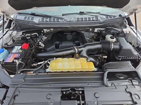 Used 2019 Ford F150 Platinum w/ Equipment Group 701A Luxury AWD/4WD image 12