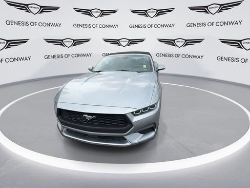 Used 2024 Ford Mustang Premium RWD image 3