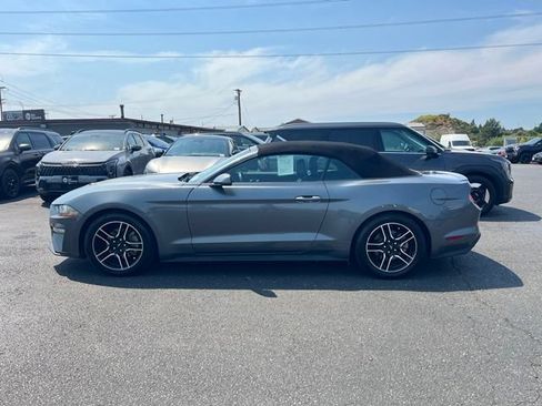 Used 2022 Ford Mustang Premium RWD image 6
