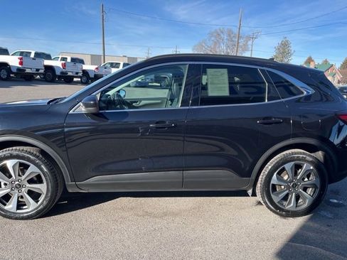 Used 2025 Ford Escape Platinum AWD/4WD image 6